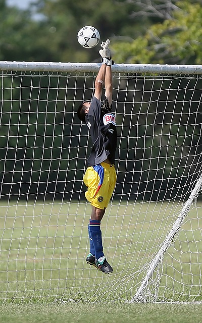 策略以及蒙 策略以及蒙