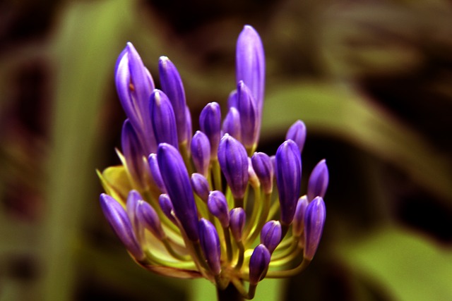 的恢復外 的恢復外