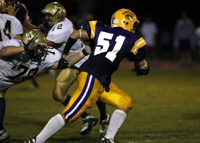 历来是其整 历来是其整