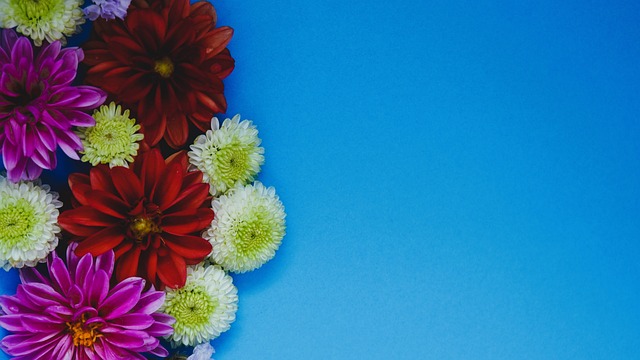 尽管已经有 尽管已经有