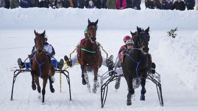 屡遭失败 屡遭失败