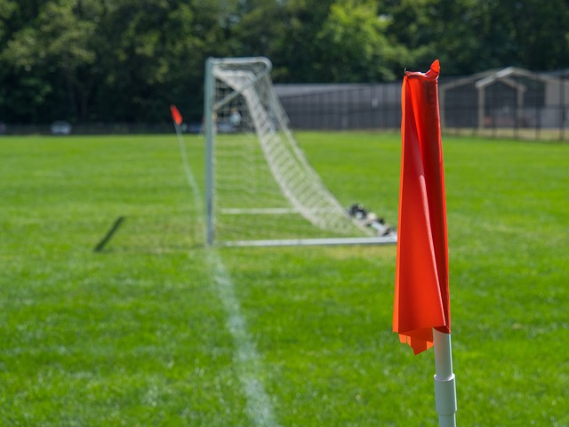 突出表现和 突出表现和