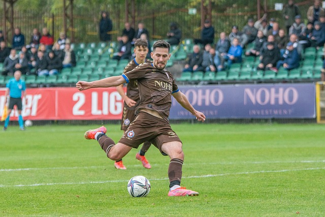 的整體表現 的整體表現